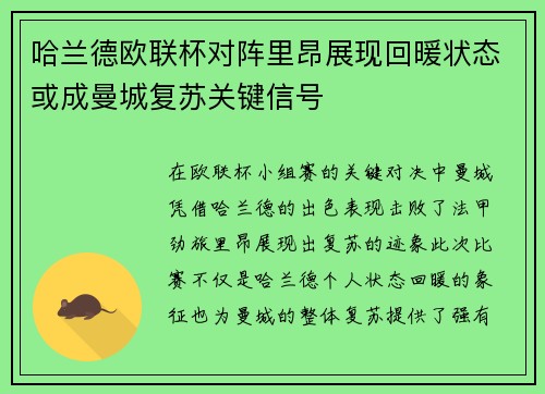 哈兰德欧联杯对阵里昂展现回暖状态或成曼城复苏关键信号 哈兰德欧联杯对阵里昂展现回暖状态或成曼城复苏关键信号