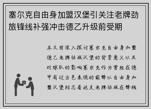 塞尔克自由身加盟汉堡引关注老牌劲旅锋线补强冲击德乙升级前受期