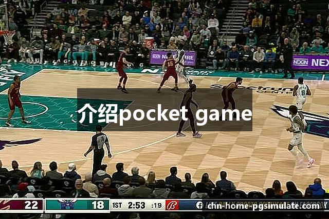 介绍pocket game